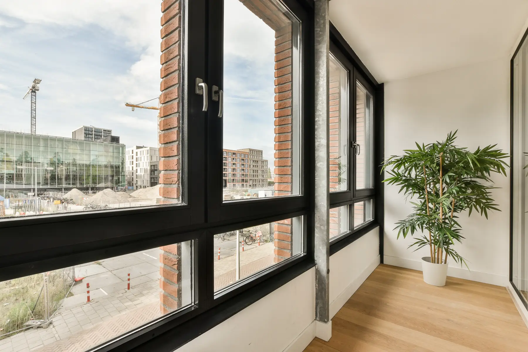 Ventanas de aluminio negro en esquina de un salón con planta